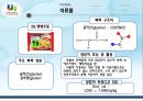 생활과 화학 (생활속의 화학) 레포트(PPT) 32페이지
