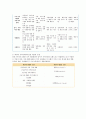 미국의 지역사회복지실천 모형에 대해 설명하시오. 4페이지