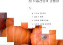 음 ∙ 식료품 산업분석 (식품 산업의 연혁·수요구조·생산구조·판매구조·경영성과와 재무구조·정부의 산업정책·해외의 산업동향·경쟁 정도).pptx 42페이지