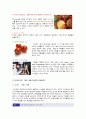 [버거킹 마케팅] 버거킹(Burger King) 선정이유/ 외식산업의 발전 배경과 전망/ 햄버거의 유래/패스트푸드 역사/자사분석/버거킹 QSC/SWOT/STP/4P분석 10페이지
