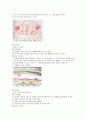 (아동미술) 선(line)과 표현기법 5페이지