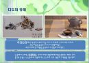(관광) 한국과 일본, 중국의 다도 체험 안내 (茶, 다도의 유래, 다도의 방법, 중국 & 일본의 다도의 방법, 다도의 상품화 방법, 간단한 부산다도 소개).pptx 5페이지