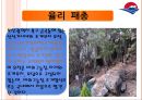부산 북구를 배경으로 한 관광 발전 방안 모색, 발표용 (Welcome to the Buk-gu) (소개 , 과정 및 레크리에이션, 마케팅).pptx 6페이지