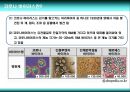 메르스 바이러스 (MESR,SARS,코로나 바이러스,SARS-CoV,RNA 바이러스,메르스,사스) 3페이지