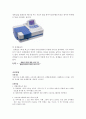 [일반생물학] 광합성과 크로마토그래피 예비+결과 A+ 자료 고찰A++ 5페이지