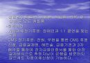 장애인생활시설 해든솔 - 사회복지현장실습, 실습기관분석 PPT자료 16페이지