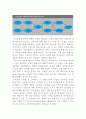애플 APPLE 경영전략분석과 애플 성공,실패사례분석및 애플 미래전망과 나의견해 (vs 삼성전자와 비교분석) 12페이지