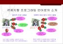컴퓨팅 - 객체지향 분석 및 설계.ppt 44페이지