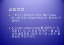 화학공학 실험 - 흡착(Adsorption) 실험.ppt 7페이지
