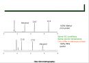 가스 크로마토그래피(Gas Chromatography)에 관해서.pptx 22페이지