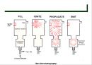 가스 크로마토그래피(Gas Chromatography)에 관해서.pptx 42페이지