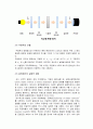 기계공학실험 - 광탄성 실험 5페이지