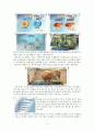 한국과 EU FTA(한-EU FTA)에 관해서 5페이지