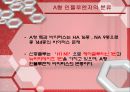 의학 - A H1N1 (신종플루)에 관해 4페이지