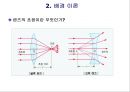 일반물리학 실험 - 거울과 렌즈 6페이지