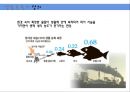 [환경오염개론] 생물농축의 정의, 생물농축의 원인 및 특징, 생물농축 피해사례, 생물농축 대책.ppt 3페이지