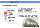 [환경오염개론] 생물농축의 정의, 생물농축의 원인 및 특징, 생물농축 피해사례, 생물농축 대책.ppt 5페이지