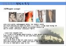 [환경오염개론] 생물농축의 정의, 생물농축의 원인 및 특징, 생물농축 피해사례, 생물농축 대책.ppt 7페이지