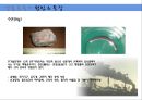 [환경오염개론] 생물농축의 정의, 생물농축의 원인 및 특징, 생물농축 피해사례, 생물농축 대책.ppt 8페이지