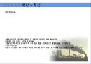 [환경오염개론] 생물농축의 정의, 생물농축의 원인 및 특징, 생물농축 피해사례, 생물농축 대책.ppt 10페이지