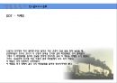 [환경오염개론] 생물농축의 정의, 생물농축의 원인 및 특징, 생물농축 피해사례, 생물농축 대책.ppt 14페이지