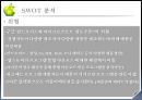 [과제]애플기업 조사 26페이지