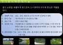 하천복원 5페이지