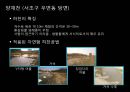 하천복원 29페이지