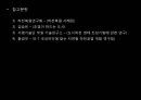 하천복원 33페이지