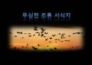 생태복원계획 조류서식처 -  무심천 조류 서식지 (조류, 하천 환경, 조류의 생활, 무심천 조류 현황, 조류의 먹이 취득 방법, 대상지 현황, 답사, 조사 결과).pptx 1페이지