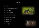 생태복원계획 조류서식처 -  무심천 조류 서식지 (조류, 하천 환경, 조류의 생활, 무심천 조류 현황, 조류의 먹이 취득 방법, 대상지 현황, 답사, 조사 결과).pptx 2페이지