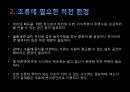 생태복원계획 조류서식처 -  무심천 조류 서식지 (조류, 하천 환경, 조류의 생활, 무심천 조류 현황, 조류의 먹이 취득 방법, 대상지 현황, 답사, 조사 결과).pptx 4페이지