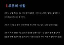 생태복원계획 조류서식처 -  무심천 조류 서식지 (조류, 하천 환경, 조류의 생활, 무심천 조류 현황, 조류의 먹이 취득 방법, 대상지 현황, 답사, 조사 결과).pptx 7페이지