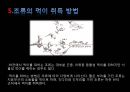 생태복원계획 조류서식처 -  무심천 조류 서식지 (조류, 하천 환경, 조류의 생활, 무심천 조류 현황, 조류의 먹이 취득 방법, 대상지 현황, 답사, 조사 결과).pptx 9페이지