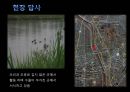 생태복원계획 조류서식처 -  무심천 조류 서식지 (조류, 하천 환경, 조류의 생활, 무심천 조류 현황, 조류의 먹이 취득 방법, 대상지 현황, 답사, 조사 결과).pptx 14페이지