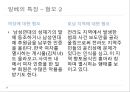 [일간베스트 분석] 일간 베스트의 개념, 일베의 특징, 일베의 문제점, 일베의 나아갈 방향 11페이지