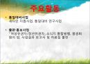 [NGO 기관 분석 레포트] 여성 유권자 연맹의 역할, 설립목적, 주요 활동, 전망 분석 13페이지