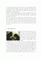 영화  감상문 (줄거리요약 및 중요내용, 미쉘의 장점과 단점, 교사의 장단점, 가족환경의 장단점, 지역사회의 장단점, 느낀점 및 감상평) 3페이지