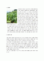 [한국문화사] 담배의 개념과 어원 및 전래과정, 담배의 문화와 상업적 재배(자본의 싹), 일제의 연초세, 담배의 규제, 담배 광고 2페이지