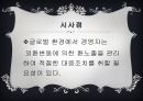  글로벌 경영,외환시장,현물환율,선물환율, 통화스왑,환율결정이론,물가와 환율, 이자율과 환율 ,환심리설과 편승효과.PPT자료 37페이지
