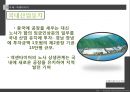 [노사관계] 노동조합과 경영자조직 (노동조합의 역할 및 기능, 노동조합의 추세와 현황, 경영자조직의 역할 및 기능, 경영자조직의 추세와 현황, 사례 발표).PPT자료 75페이지