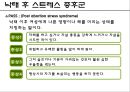 낙태 사회문제,낙태 찬반론,낙태 생명윤리,우리나라의 낙태 현황,태아의 생명권,히포크라테스 선서 29페이지