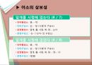 국어학개론_어소와 이형태에 관하여 11페이지
