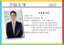 다음 커뮤니케이션 성공사례,다음 기업분석,다음 경영사례,다음 마케팅사례,브랜드마케팅,서비스마케팅,글로벌경영,사례분석,swot,stp,4p 5페이지