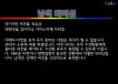 [리더쉽] 컬러리더십(Color Leader ship) 대통령리더쉽,글로벌리더,싸이,브랜드마케팅,서비스마케팅,글로벌경영,사례분석,swot.PPT자료 43페이지