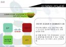 시스코(cisco)의 사업전략 24페이지