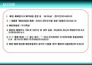 해양경찰청 해체 및 문제점  : 해양경찰청, 해양경찰, 해경해체, 해경조직, 해경, 해수부, 해양조직 해체 9페이지