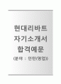 (현대리바트 자기소개서 + 면접기출문제) 현대리바트(영업인턴) 자기소개서 합격예문 [현대리바트자소서지원동기첨삭항목] 1페이지