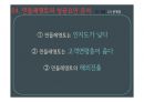 민들레영토 성공사례 및 실패사례 분석 PPT 17페이지