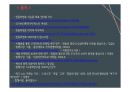 민들레영토 성공사례 및 실패사례 분석 PPT 22페이지
